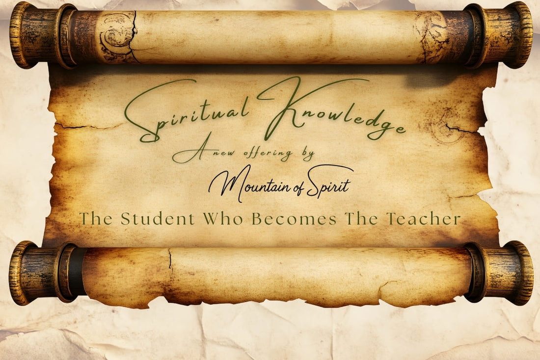 November 2025: The Student Who Becomes The Teacher