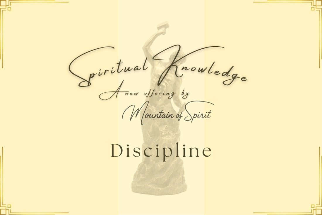 Week 3 - 2: Discipline