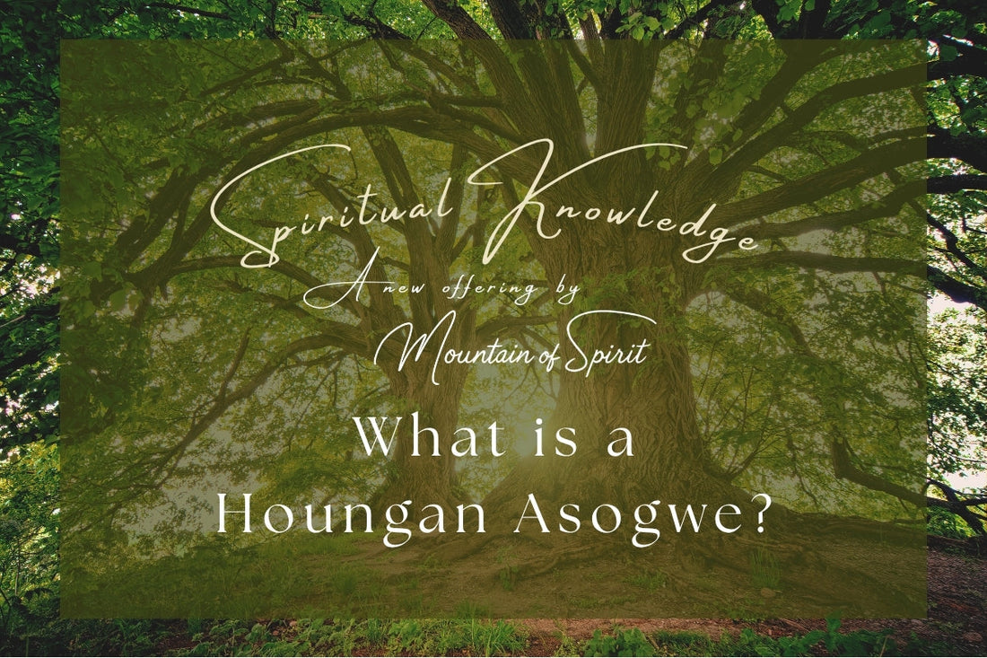 Week 1 - 3: What Is A Houngan Asogwe?