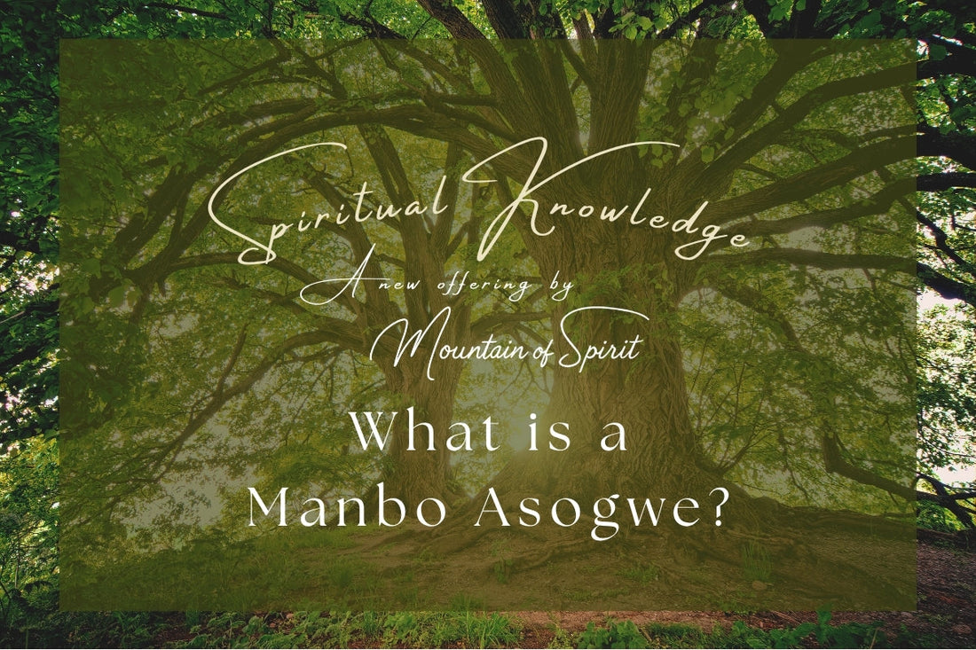 Week 1 - 5: What is a Manbo Asogwe?