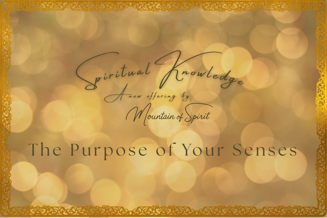 Week 2 - 3: The Purpose of Your Senses