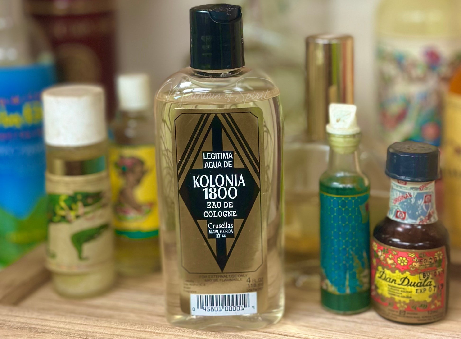 Kolonia 1800