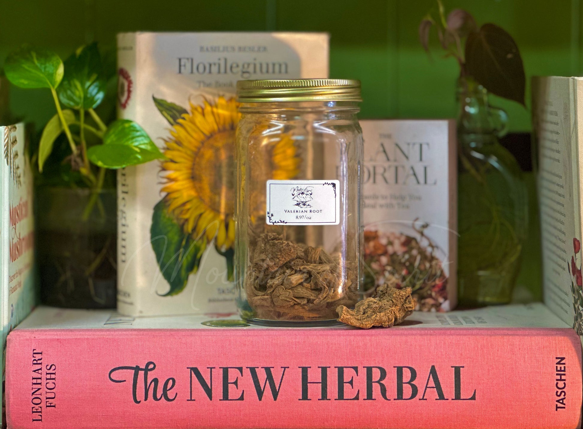 Valerian Root