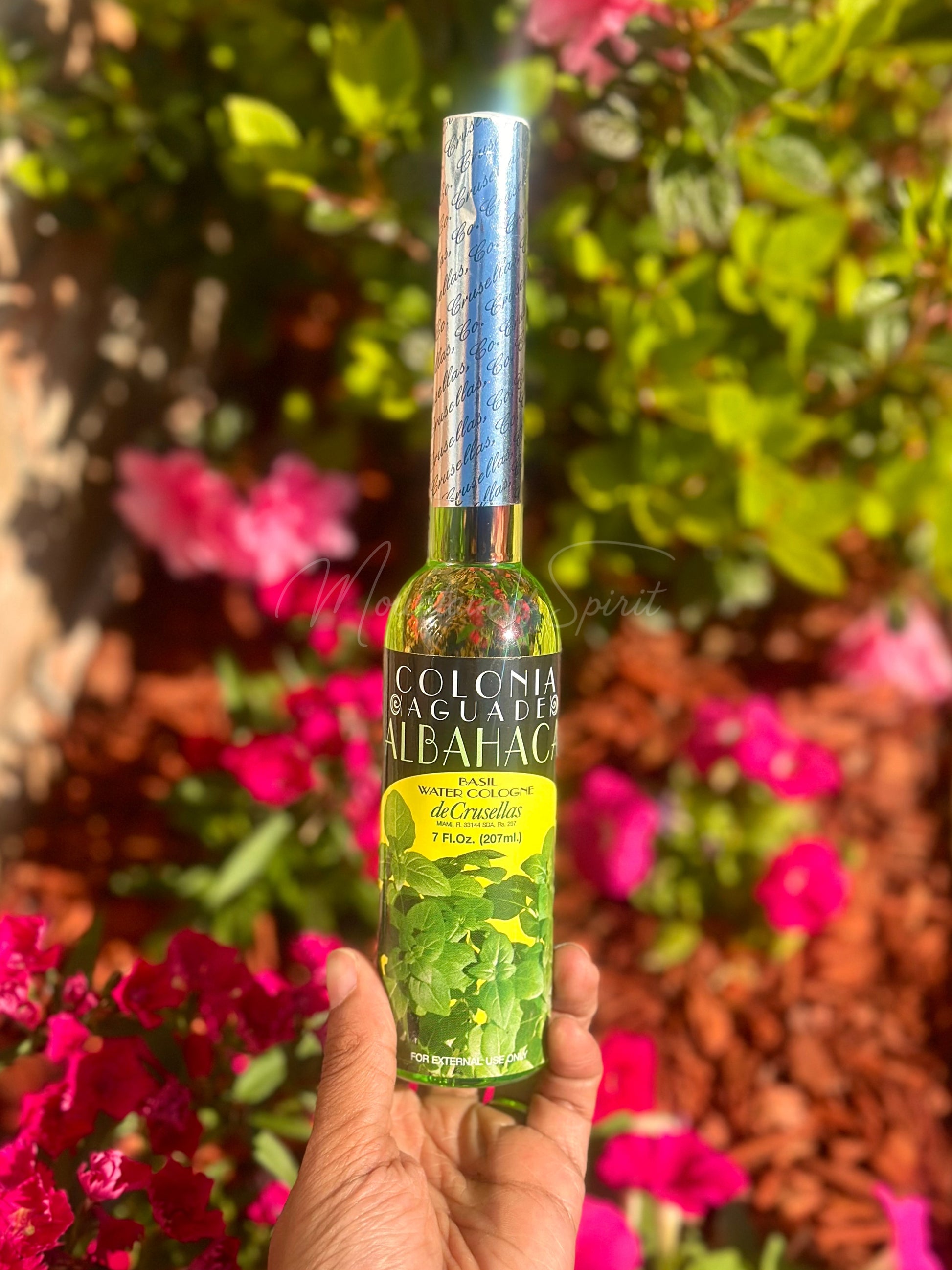 Basil Water