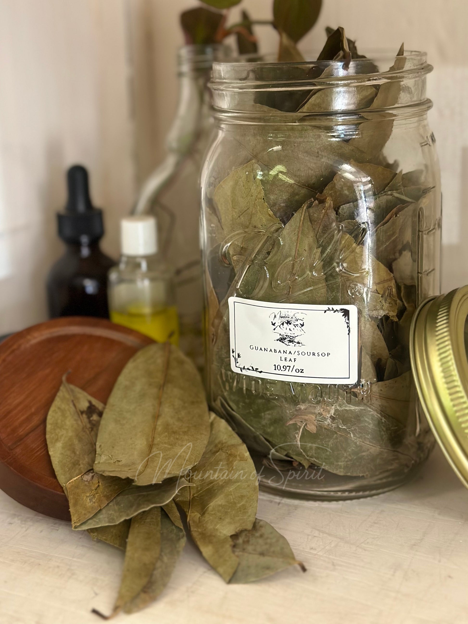 Soursop Leaf