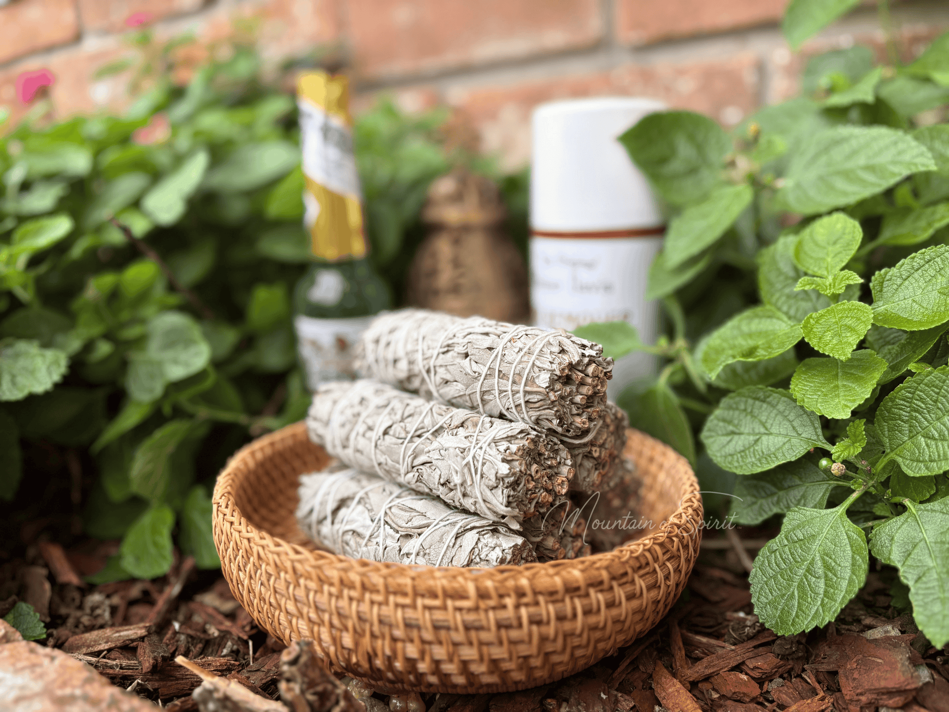 White Sage Bundle