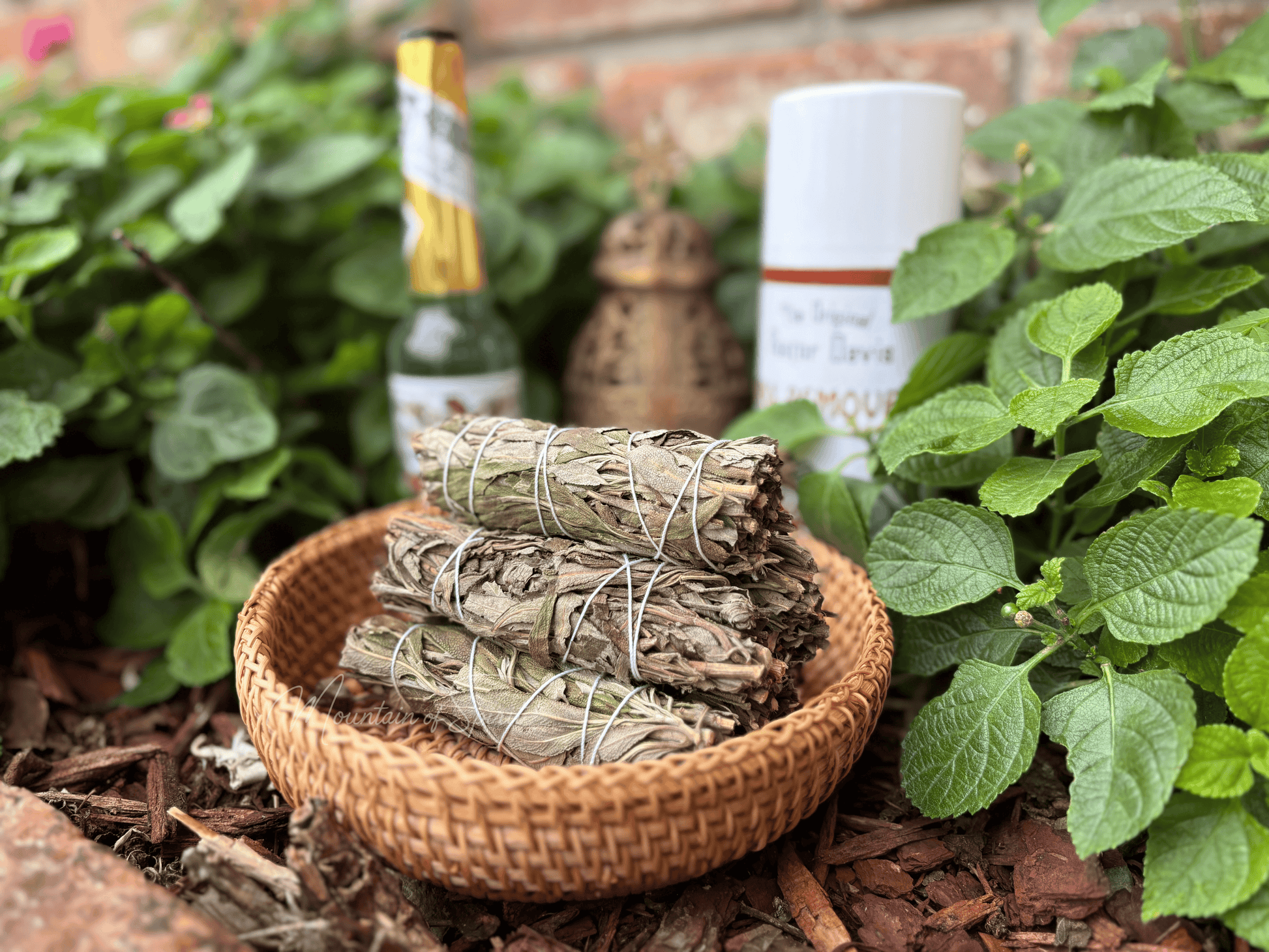 Black Sage Bundle