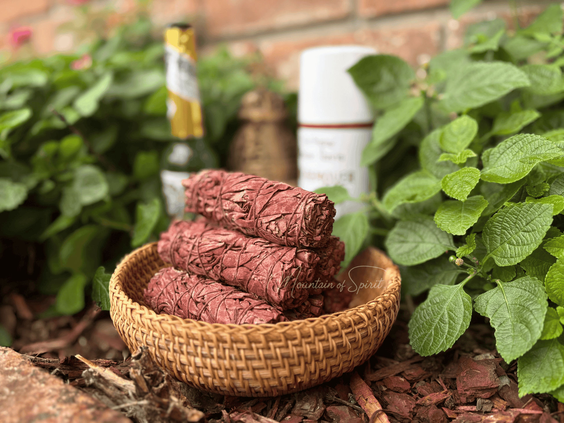 Dragon's Blood with White Sage Bundle