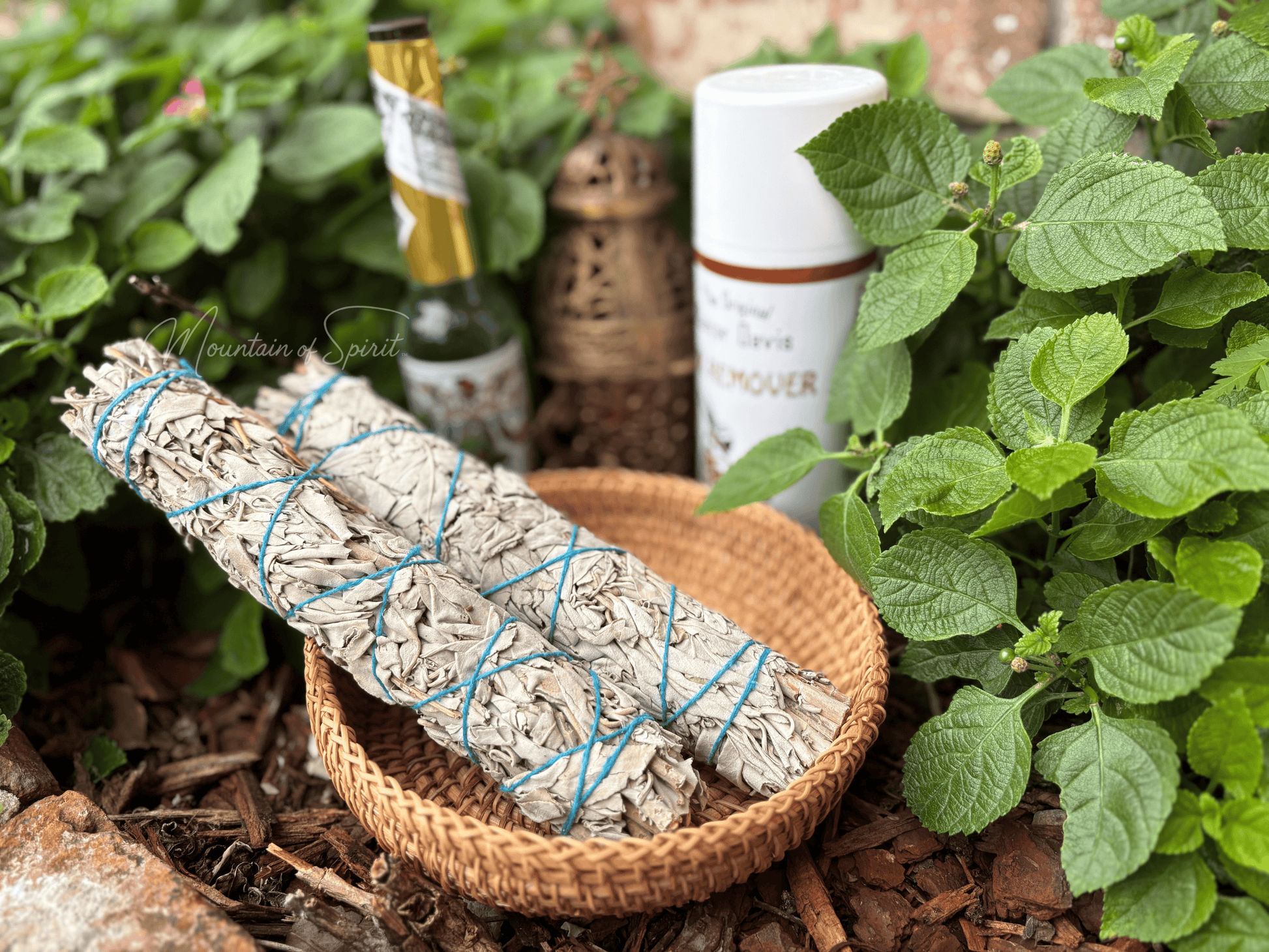 White Sage Bundle